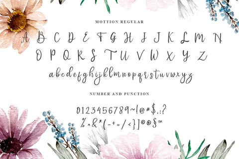 Mottion // Fashionable and Modern Calligraphy Font Haksen 