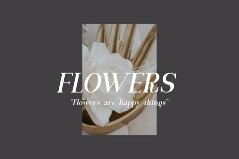 Motzeda Display Serif Font Irvan Randi 