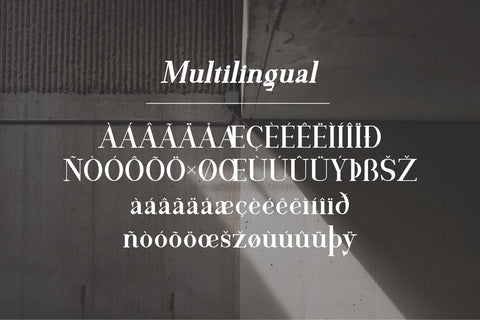 Motzeda Display Serif Font Irvan Randi 