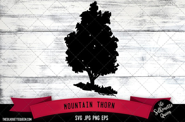 Mountain Thorn SVG -Vector Art Commercial & Personal Use- Cricut,Silhouette,Cameo,Vinyl Cut SVG Loveleen Kaur 