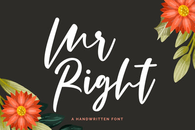 Mr Right Font Fallen Graphic Studio 