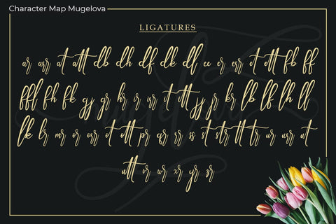 Mugelova Font Madatype Studio 