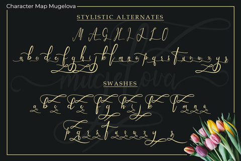 Mugelova Font Madatype Studio 