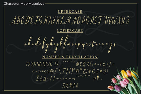 Mugelova Font Madatype Studio 