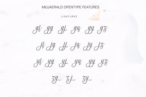 Mujaerald font Font Leamsign Studio 