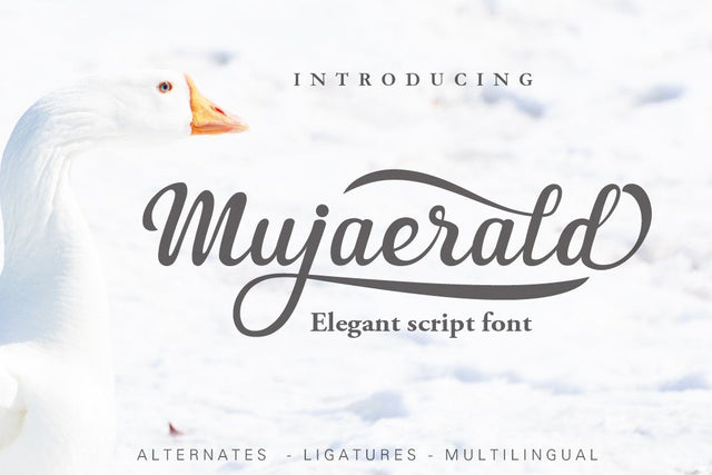Mujaerald font Font Leamsign Studio 