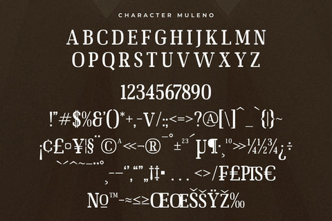 Muleno Typeface Font Storytype Studio 