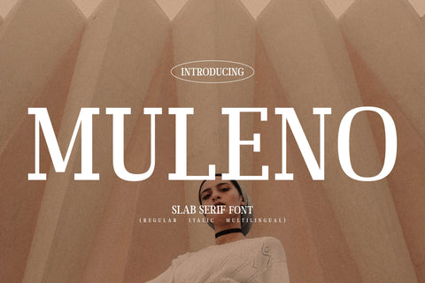 Muleno Typeface Font Storytype Studio 