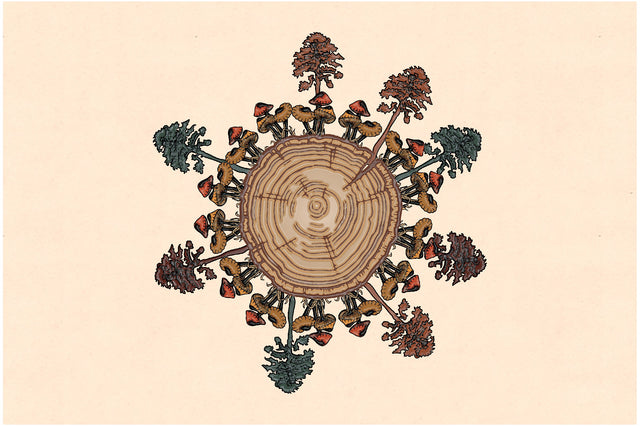 Mushroom Tree Ring Sublimation Sublimation Jagonath Roy 