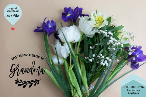 My New Name is Grandma - SVG Cut File SVG Lettershapes 