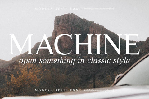 Mystical Floralish Typeface Font Storytype Studio 