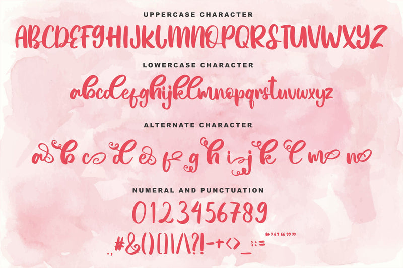 Nadine Sheila Beautiful Script Font - So Fontsy