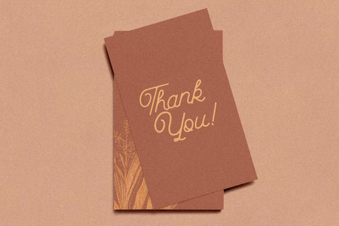 Nakytta Monoline Script Font Creatype Studio 