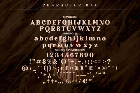 Narifah Typeface Font Storytype Studio 