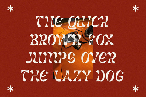 Narlesh Plasttic Typeface Font Storytype Studio 