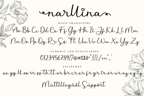 Narllina Font AEN Creative Store 