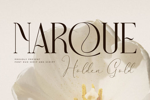 Narque Holden Gold Font Duo Font Storytype Studio 
