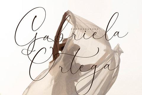 Narque Holden Gold Font Duo Font Storytype Studio 