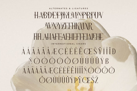 Narque Holden Gold Font Duo Font Storytype Studio 