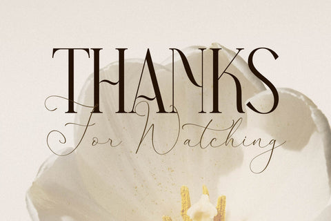 Narque Holden Gold Font Duo Font Storytype Studio 