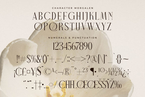 Narque Holden Gold Font Duo Font Storytype Studio 