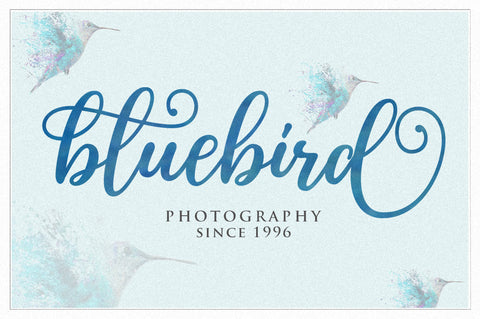 Natalic | Modern Calligraphy Font Font Rastype 