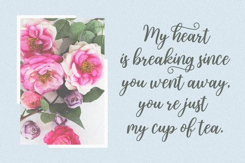 Natalic Script Font Rastype 