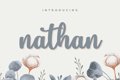 Nathan Script Font Font Typobia 