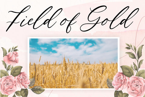 Natural Garden modern script font Font Balpirick 