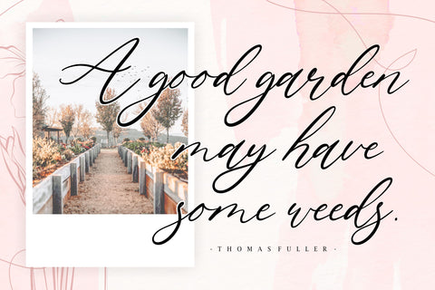 Natural Garden modern script font Font Balpirick 