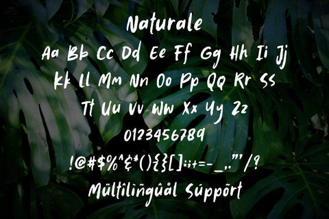 Naturale Font Good Java 