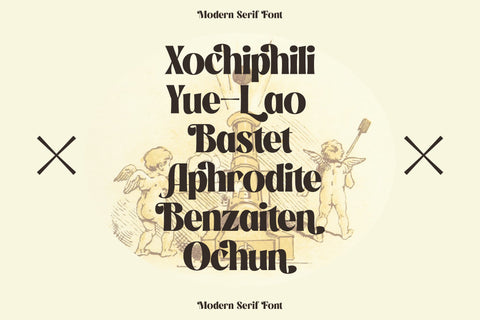 Negoka Typeface Font Storytype Studio 