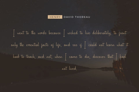 Nettally Font twinletter 