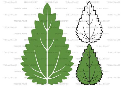 Nettle leaf SVG TribaliumArtSF 