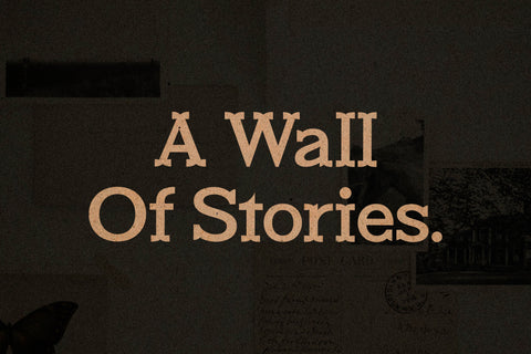 New Marion Typeface Font Storytype Studio 