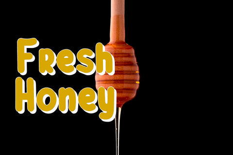 New West Display Font Font Yuby 