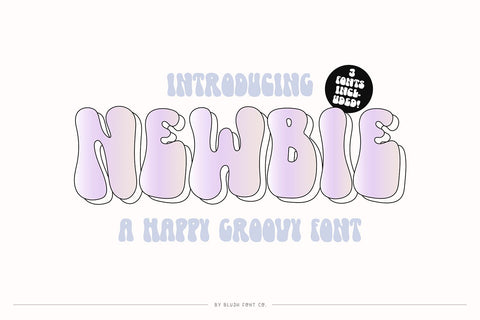 Newbie Groovy Retro Font Font Blush Font Co. 