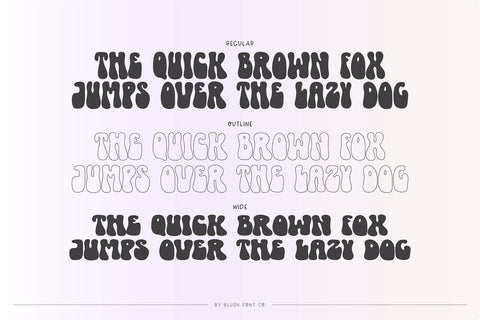 Newbie Groovy Retro Font Font Blush Font Co. 