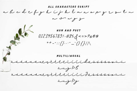 Newnesia | A Quotable Font Duo Font Halymuntstd 