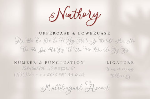 Niathory - Modern Calligraphy Font Font Attype studio 