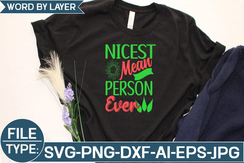 Nicest Mean Person Ever SVG Cut File SVG Studio Innate 