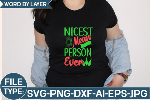Nicest Mean Person Ever SVG Cut File SVG Studio Innate 
