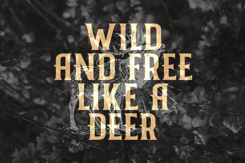 Nicolas - Victorian Decorative Font Font StringLabs 