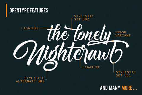 Nightfall Script - Classy Font Font Mozzatype 