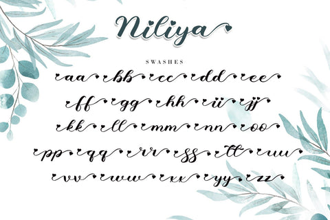Niliya Font AEN Creative Store 