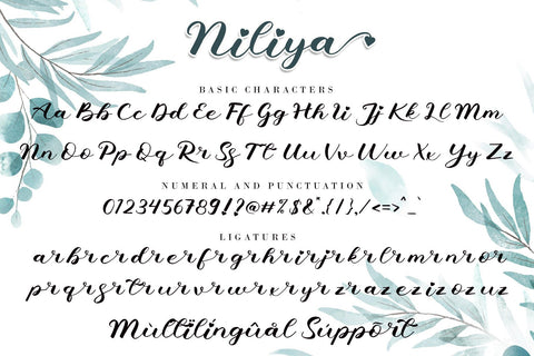 Niliya Font AEN Creative Store 