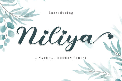 Niliya Font AEN Creative Store 