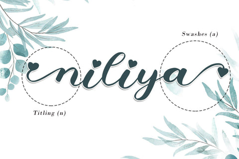 Niliya Font AEN Creative Store 