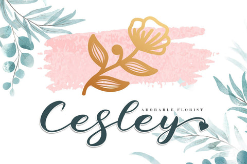 Niliya Font AEN Creative Store 