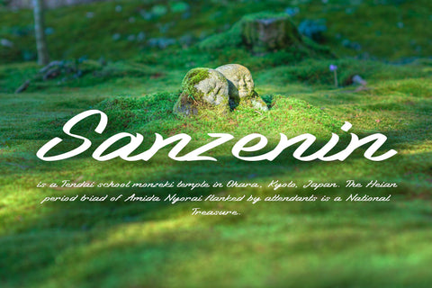 Nitecity | Modern Brush Font Font Katario Studio 